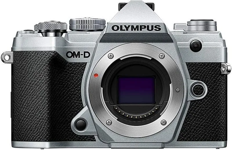 Bird photography camera For Beginners