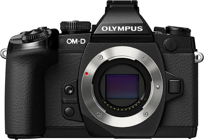 Soaring Through the Frame: Finding the Best Olympus Camera for Bird Photography