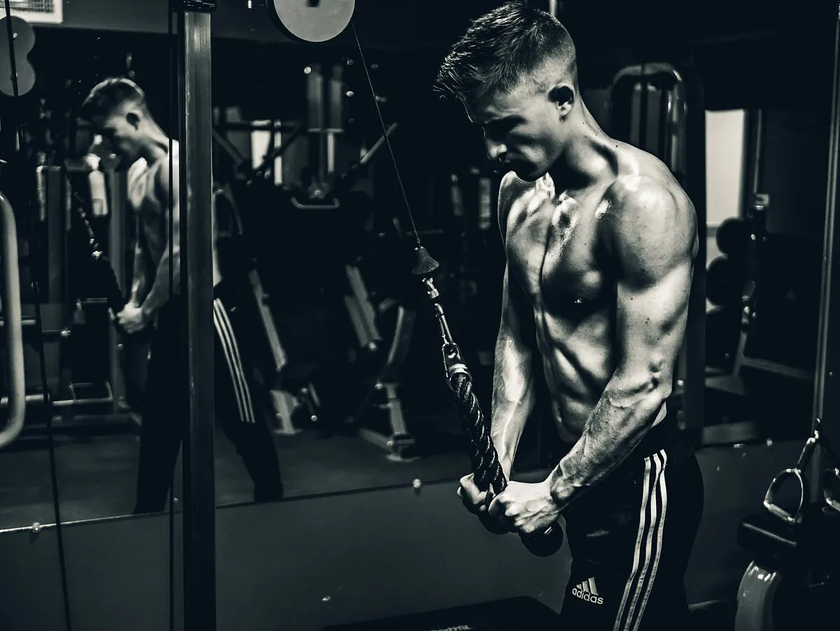 Top 7 Best Cameras for Gym Videos